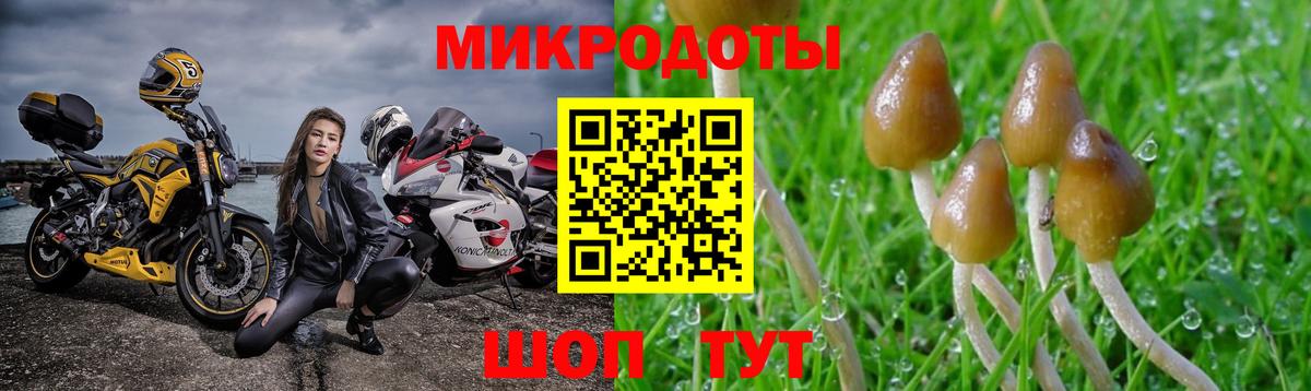 Арзамас  Галлюциногенные грибы прущие грибы  Псилоцибиновые грибы Cubensis  продажа наркотиков  Вход с VPN 